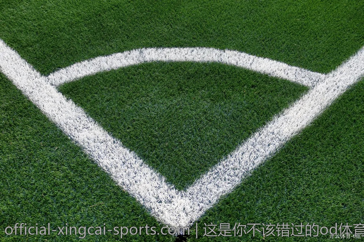 这是你不该错过的od体育赛事精彩回顾